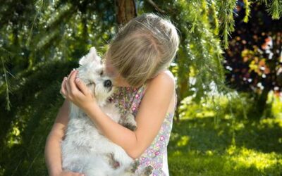 Pros and Cons of Animal Adoptions