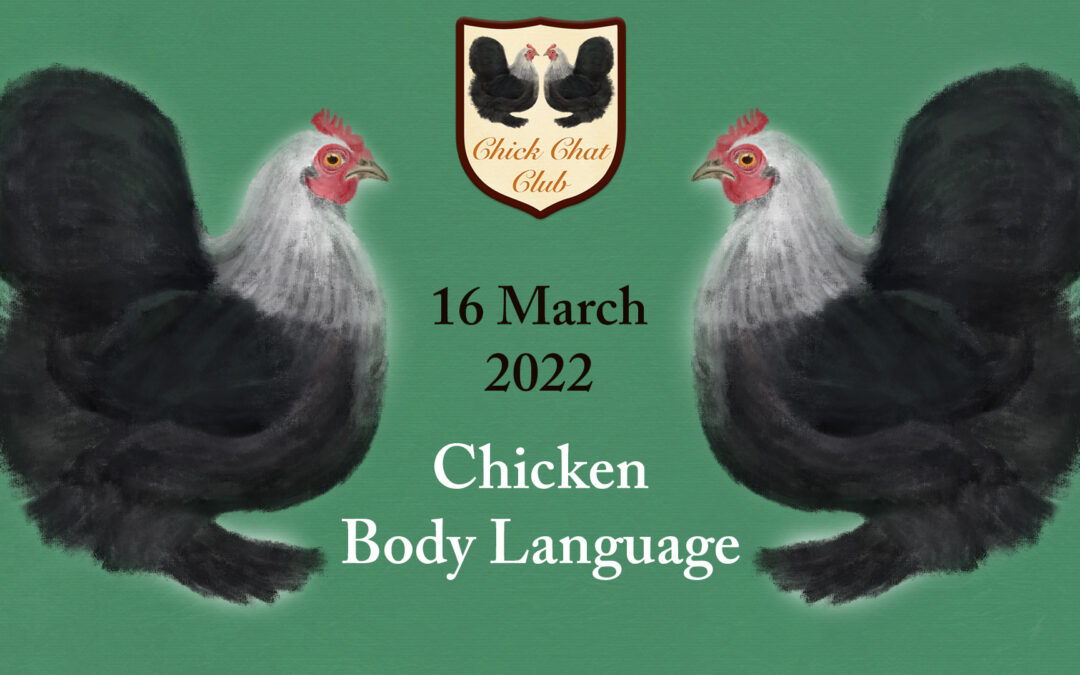 Chick Chat Club – March