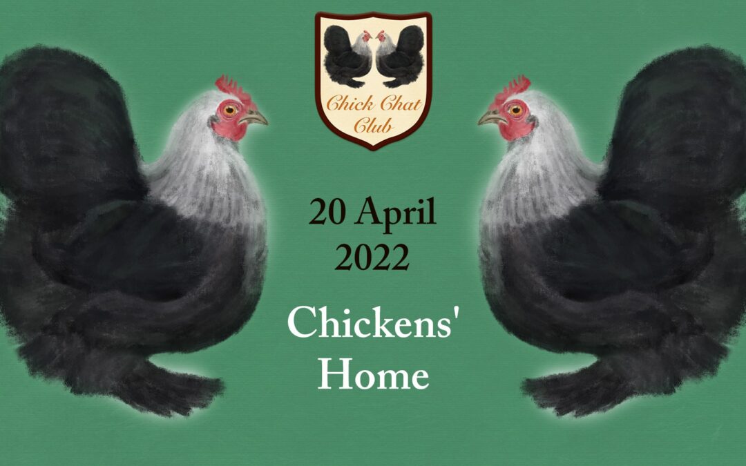 Chick Chat Club – April