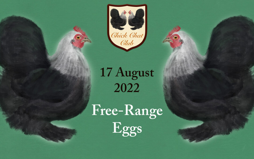 Chick Chat Club – August